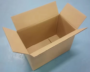 Case Details