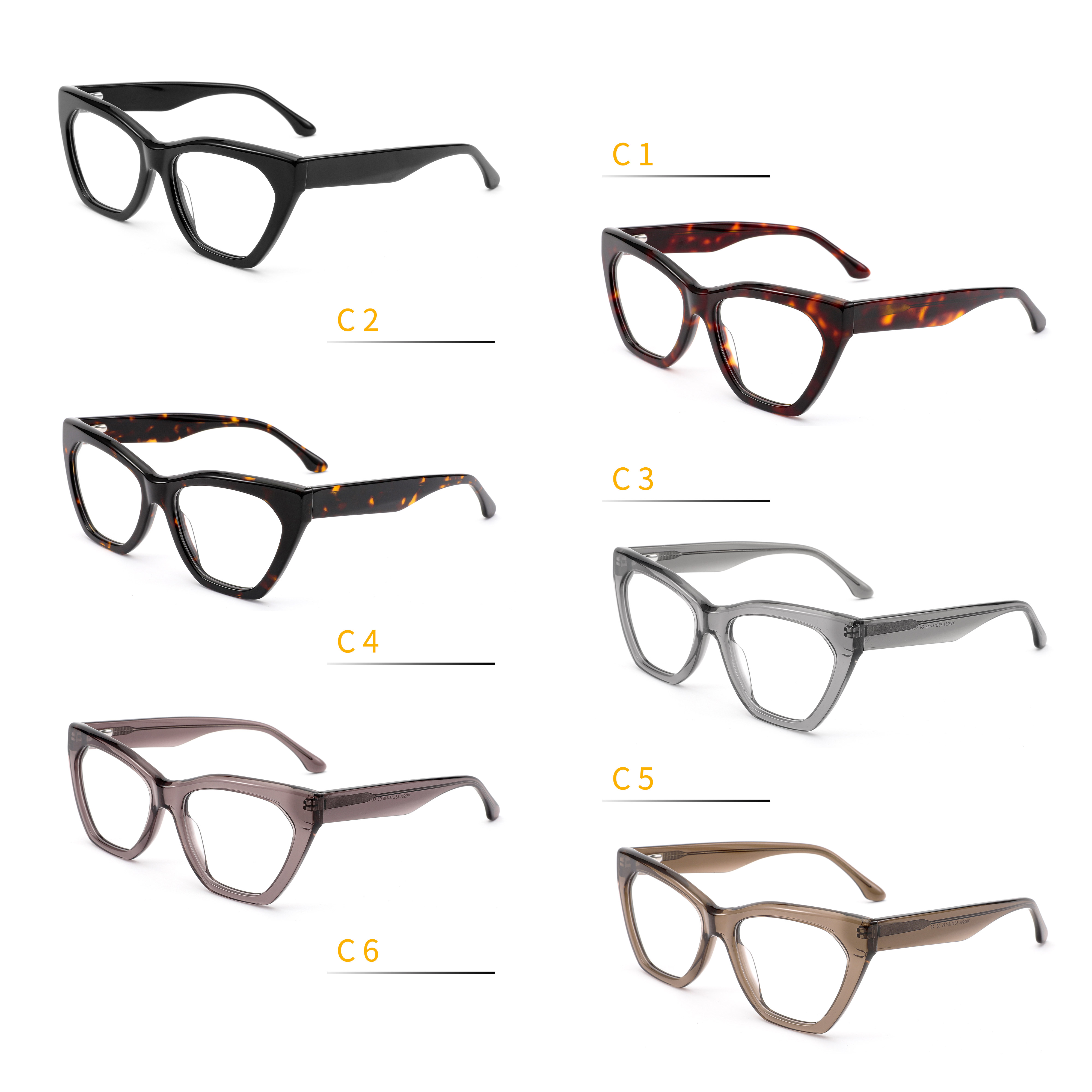 Eyewear Model 6
