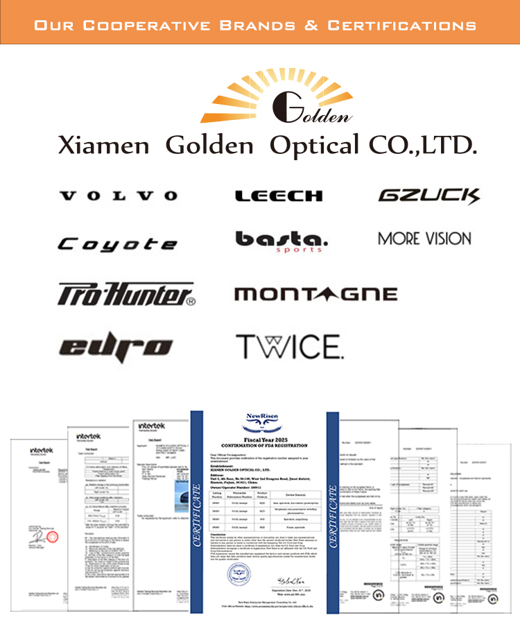 Company Profile View 3
