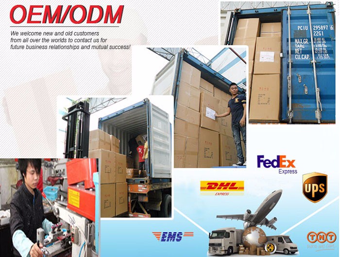 Logistics & Shipping
