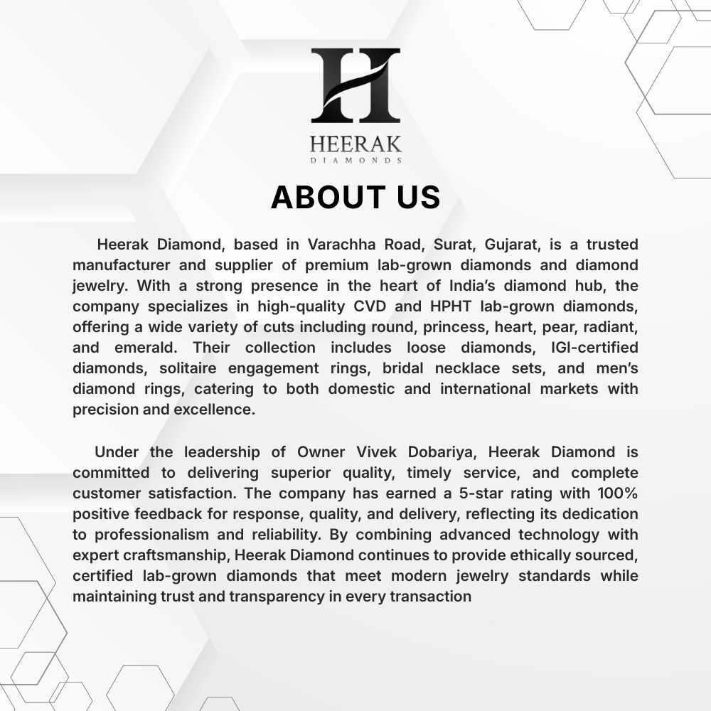 Showcase Image 2