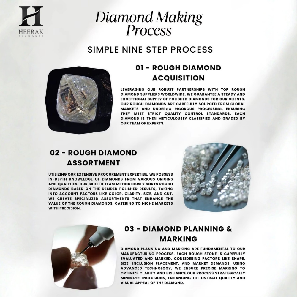 Showcase Image 6